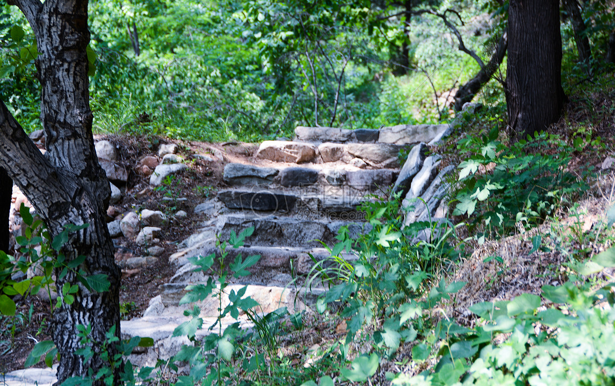 山林,水間小路