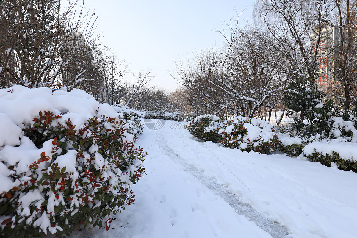 雪景