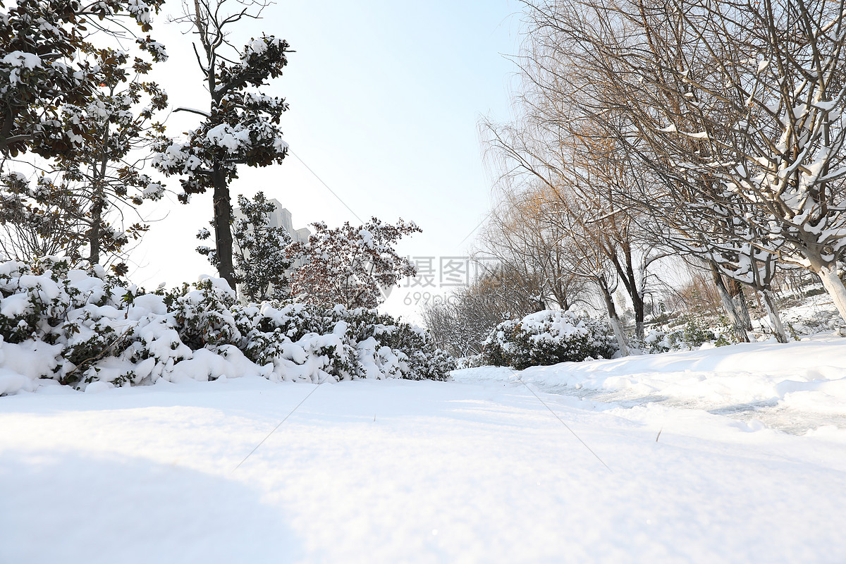 雪景