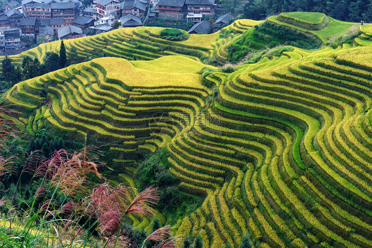 照片 自然風景 鄉村田園梯田層次曲線.