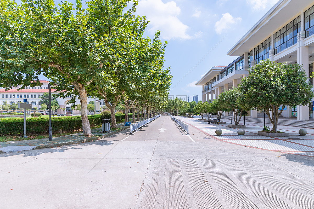 大学道路