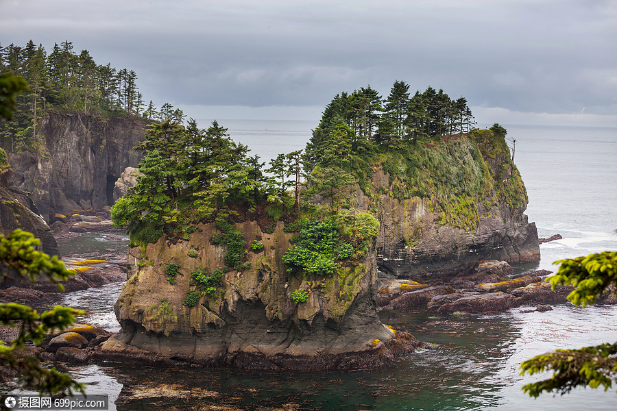 風景優美,嚴謹的太平洋海岸奧林匹克國家公園,華盛頓,美國海洋中的