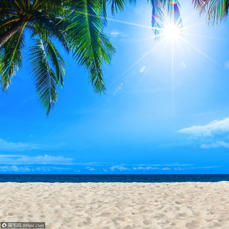 棕榈热带海滩,大海蓝天与太阳的背景,的文字棕榈热带海滩