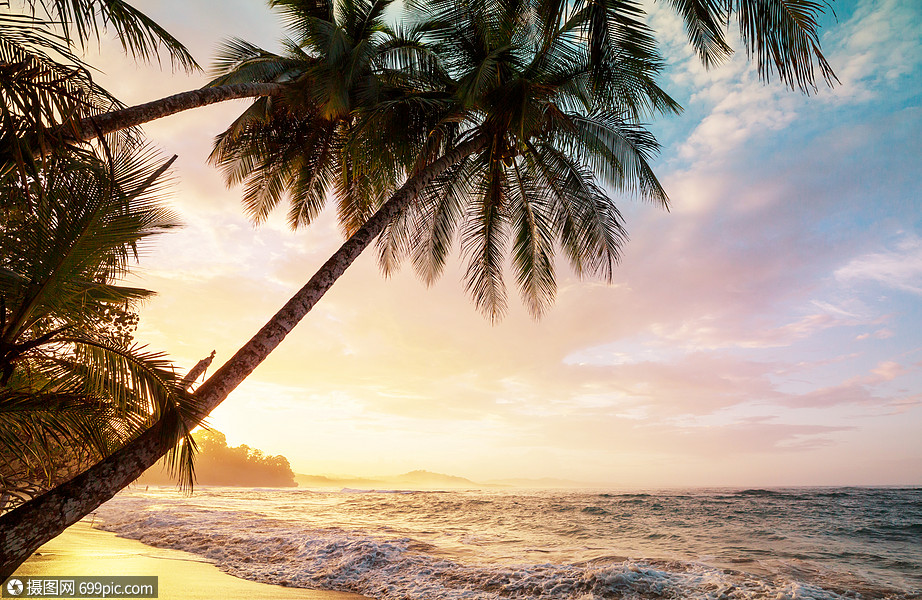 哥斯达黎加的海岸美丽的热带太平洋海岸哥斯达黎加美国中心的