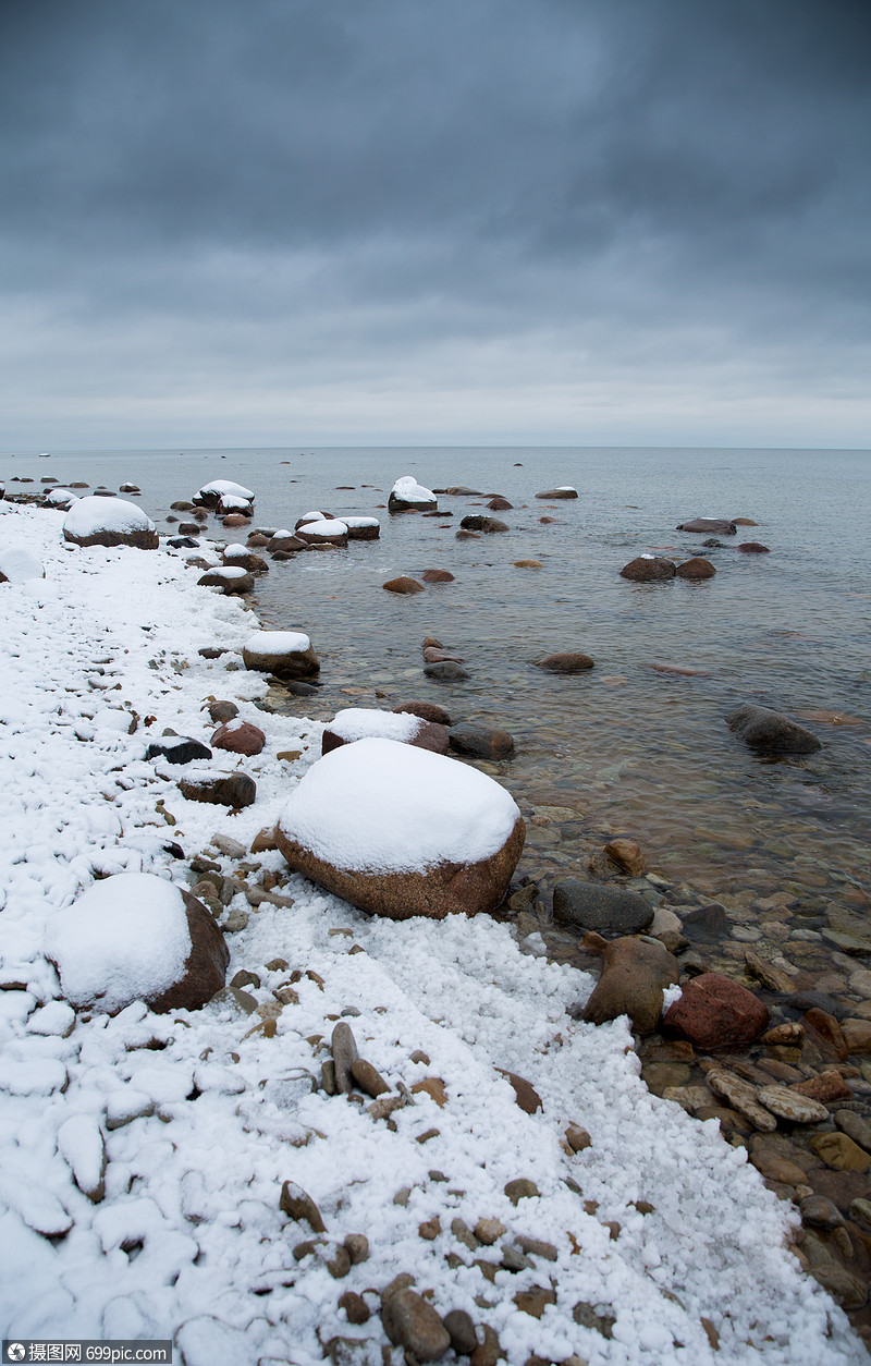 冬天的波罗的海水的背景上下雪树孤独的