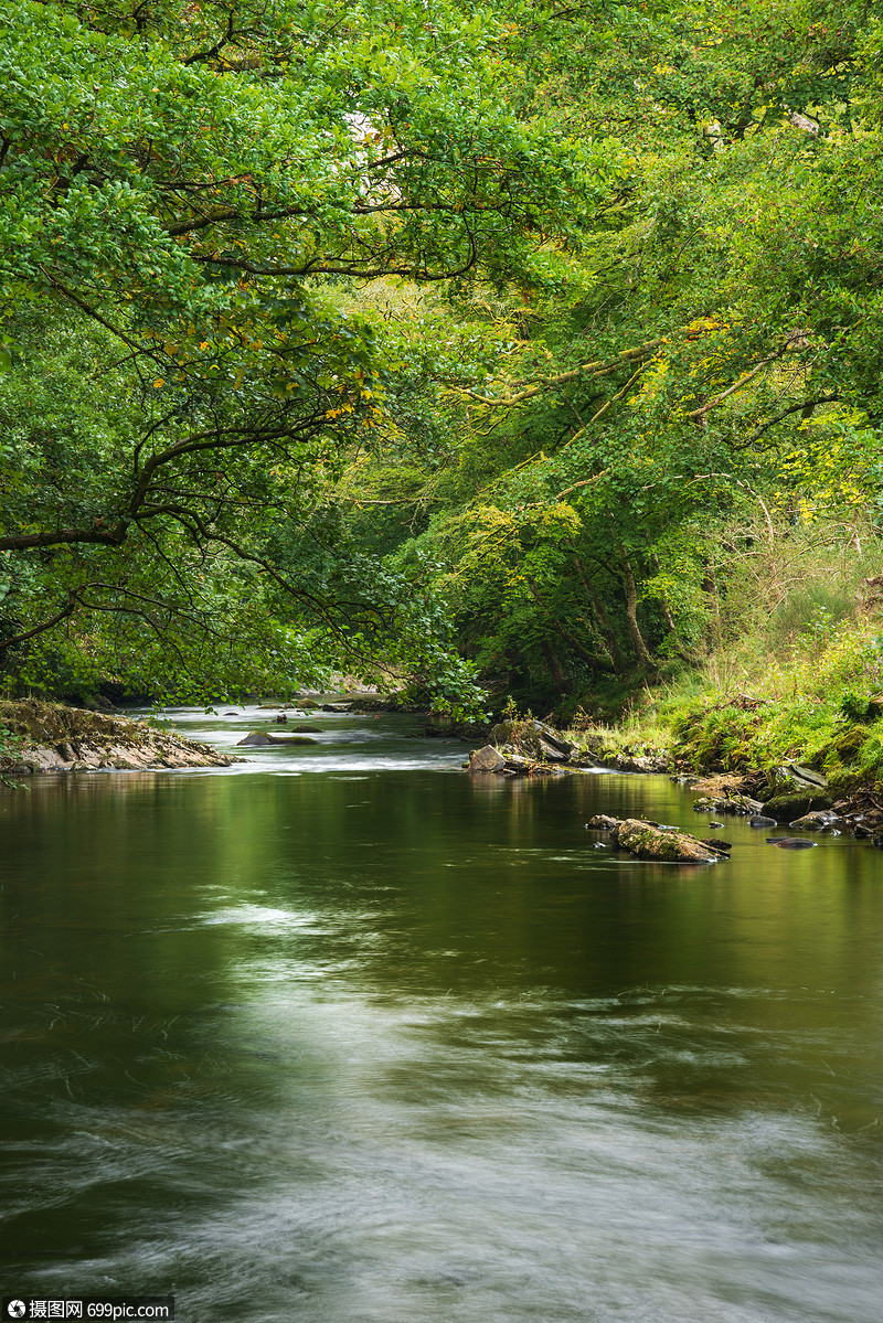 美丽茂盛的绿色河岸,河流缓缓流过平静的风景