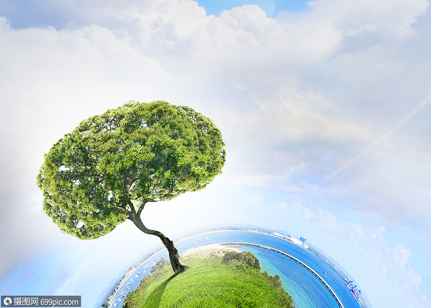 空气污染绿色树的形象,形状像大脑人类器官