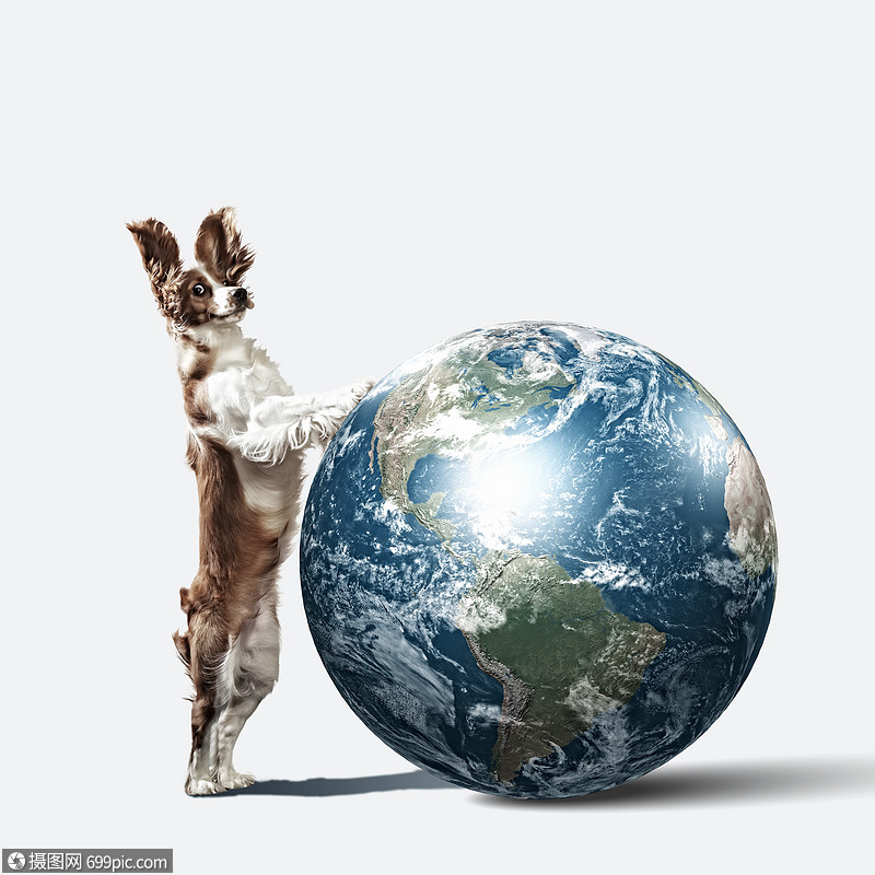 狗与地球狗与地球行星趣的拼贴画这幅图像的元素由美国宇航局提供的
