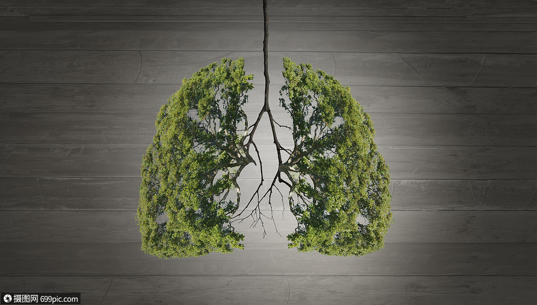 空气污染绿色树的图像,形状像人类的肺