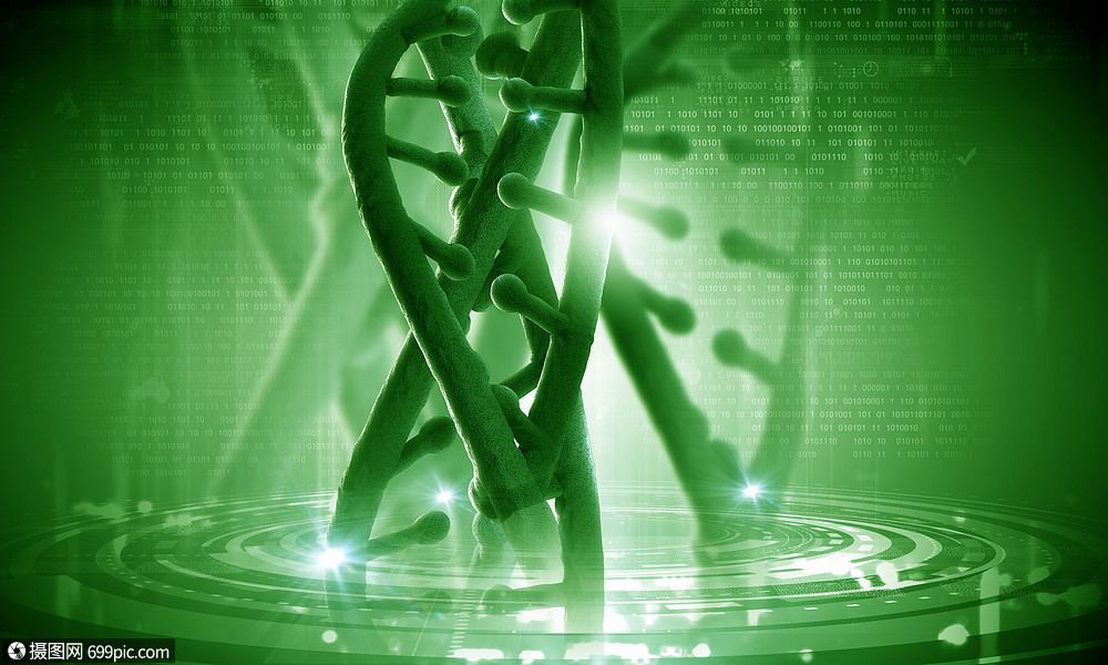 dna分子高科技dna分子的生物化学背景生物技术进化