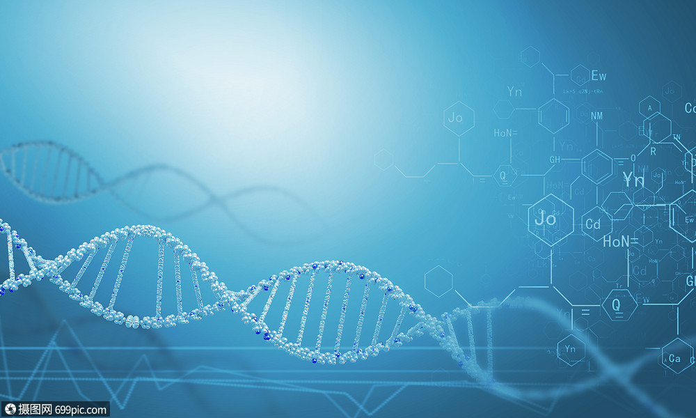 dna分子高科技dna分子的生物化學背景