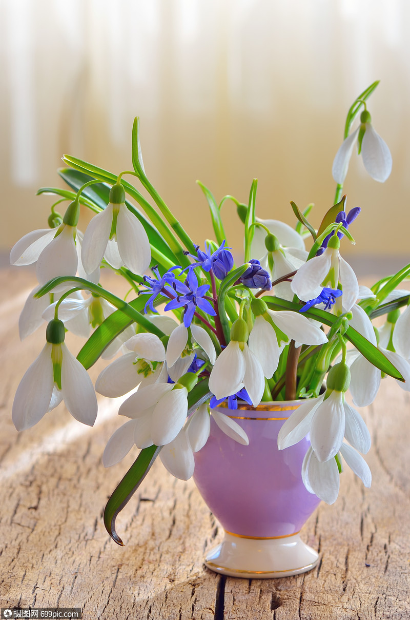 木制背景上花瓶里的雪滴花的新鲜的