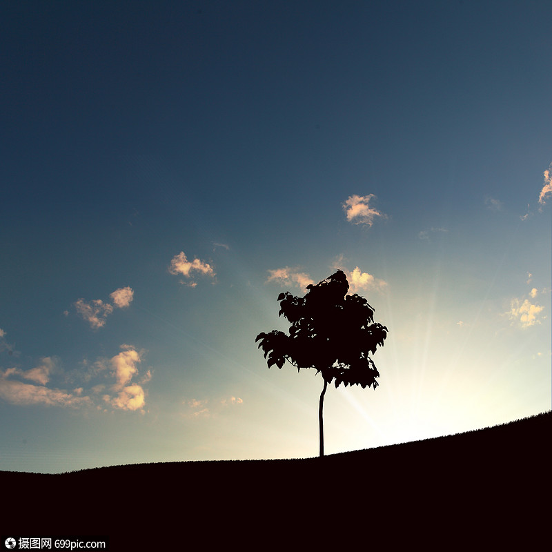 落日上的孤獨樹,天空背景