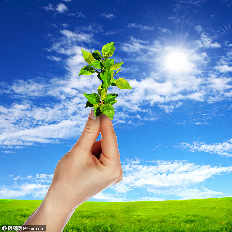 双手捧着绿色的芽晴朗的天空环境植物学