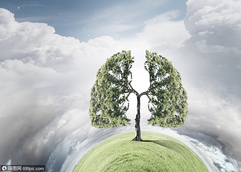 空气污染绿色树的图像,形状像人类的肺氧气森林