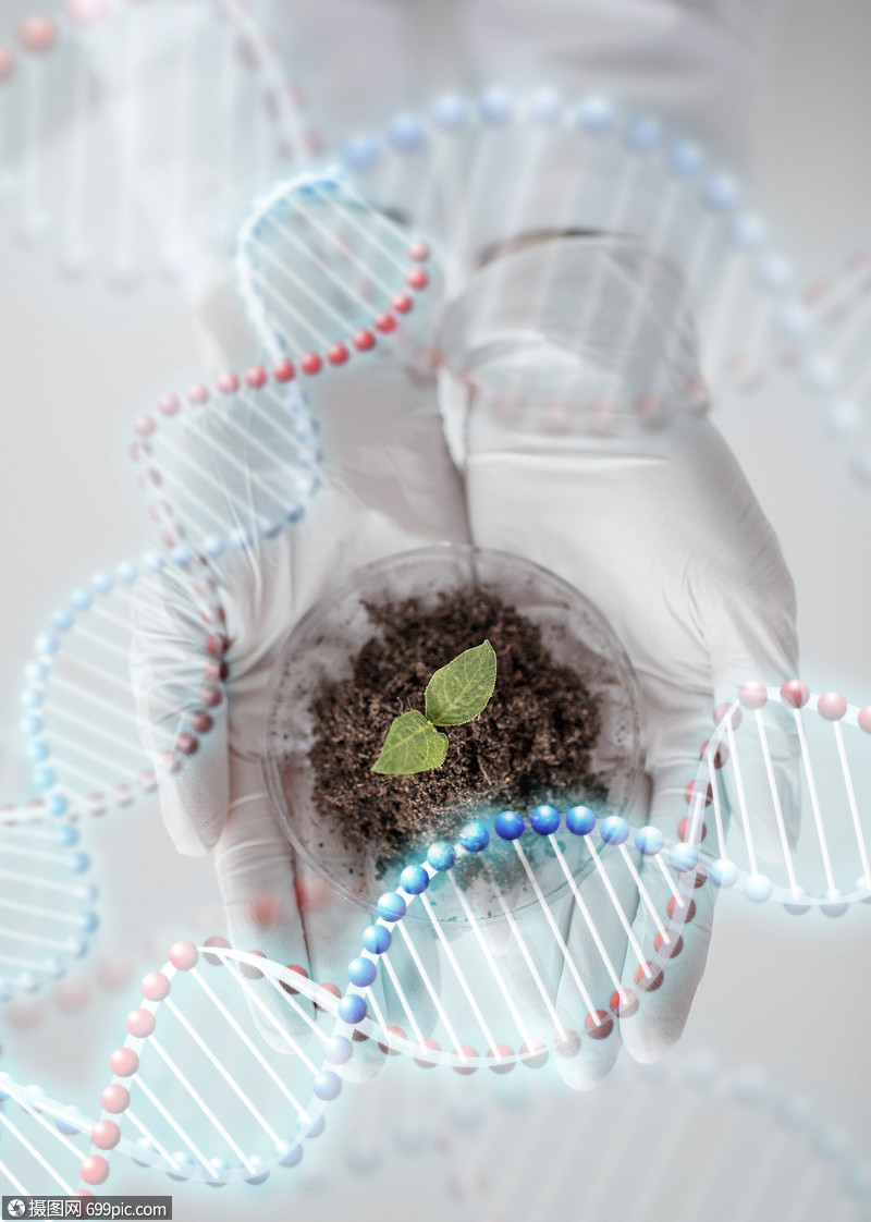 研究人的生物实验室dna分子结构中,科学家手培养皿植物样品专业的部分
