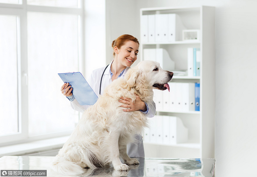 医学,宠物,动物,保健人的快乐的兽医医生与黄金猎犬剪贴板兽医诊所