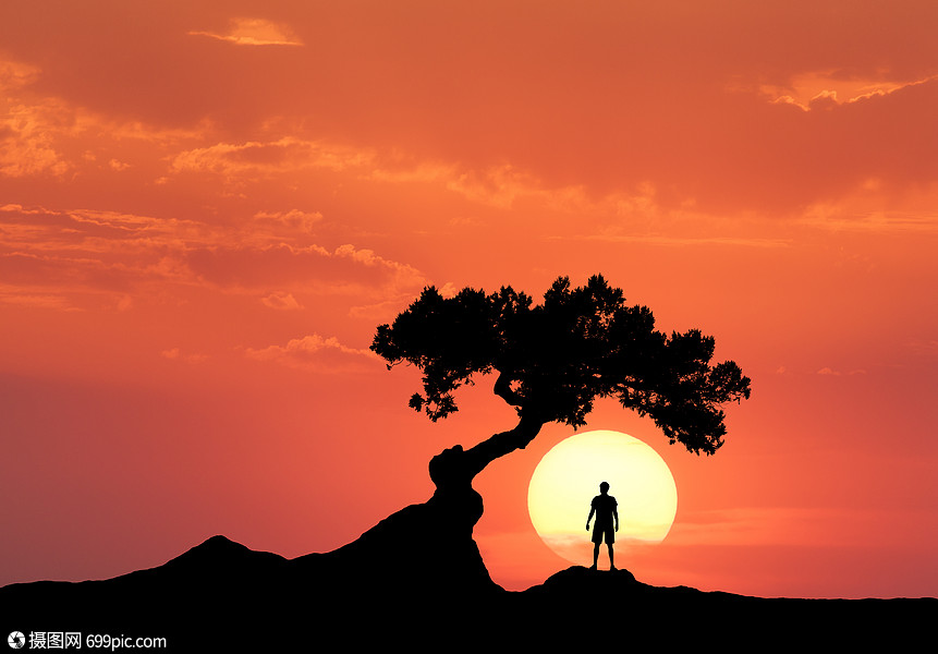 太阳背景下弯曲的树下的人个站山上的运动男子的轮廓五颜六色的橙色