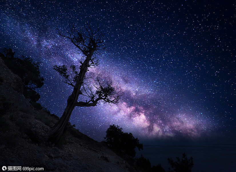 山上的树着银河夜风景夜晚五彩缤纷的风景夏天的星空美丽的宇宙星系