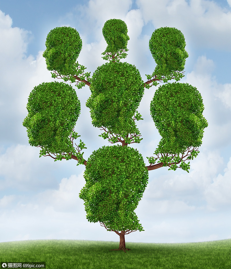 家庭树社区网络种社会商业关系的,种植物,了群相互联系的人类头脑