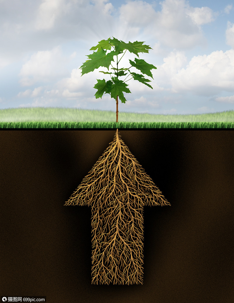 成功的根种增长的商业,棵新的发芽树地下的根涌现出来,它被塑造成支箭