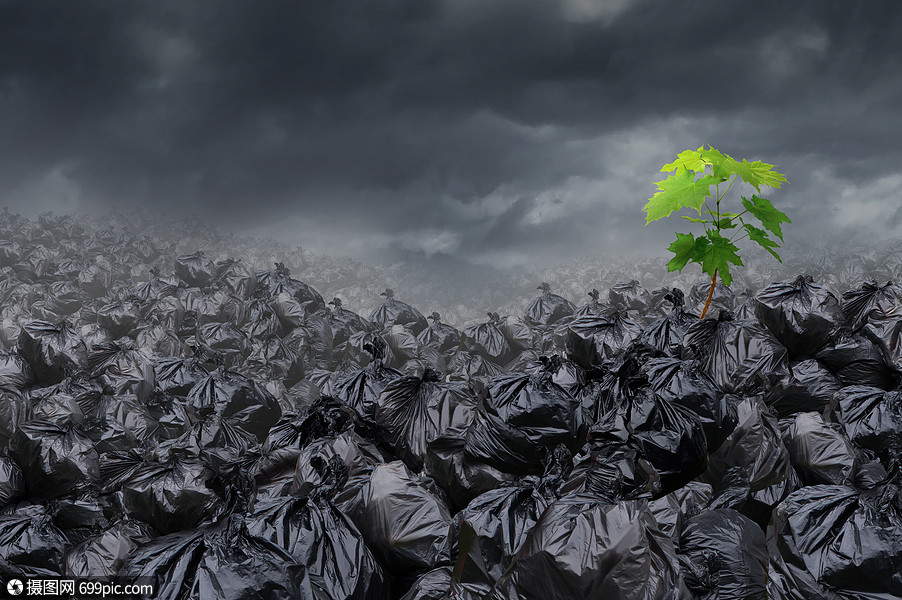照片 自然风景 环境希望的,垃圾场堆放堆肮脏的垃圾,棵新的绿色树污染