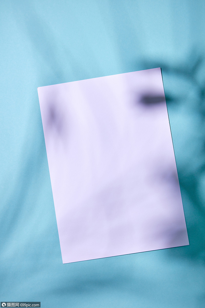 绿叶枝灰色背景顶部视图文本的现代风格空白留言卡与软阴影自然绿叶