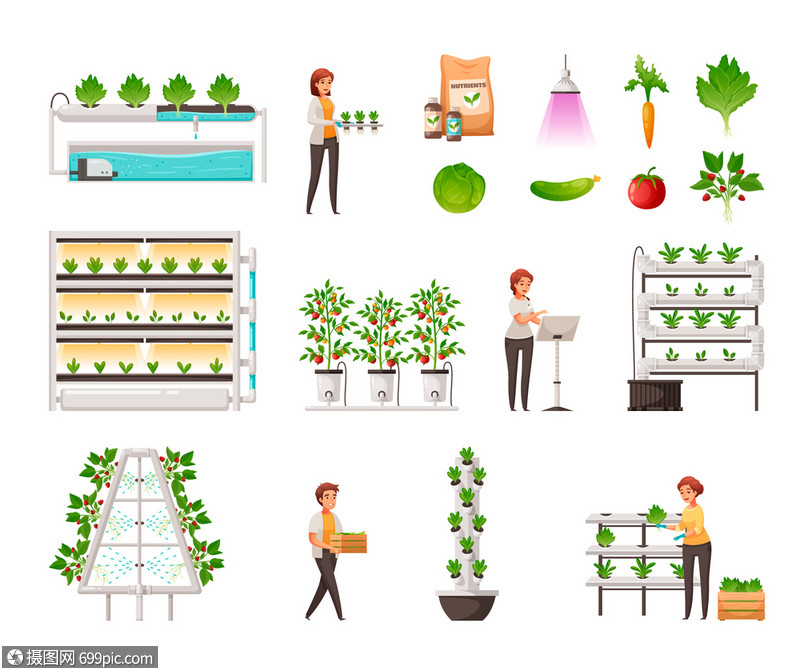 温室农业垂直水培航空符号卡通矢量插图农事垂直的