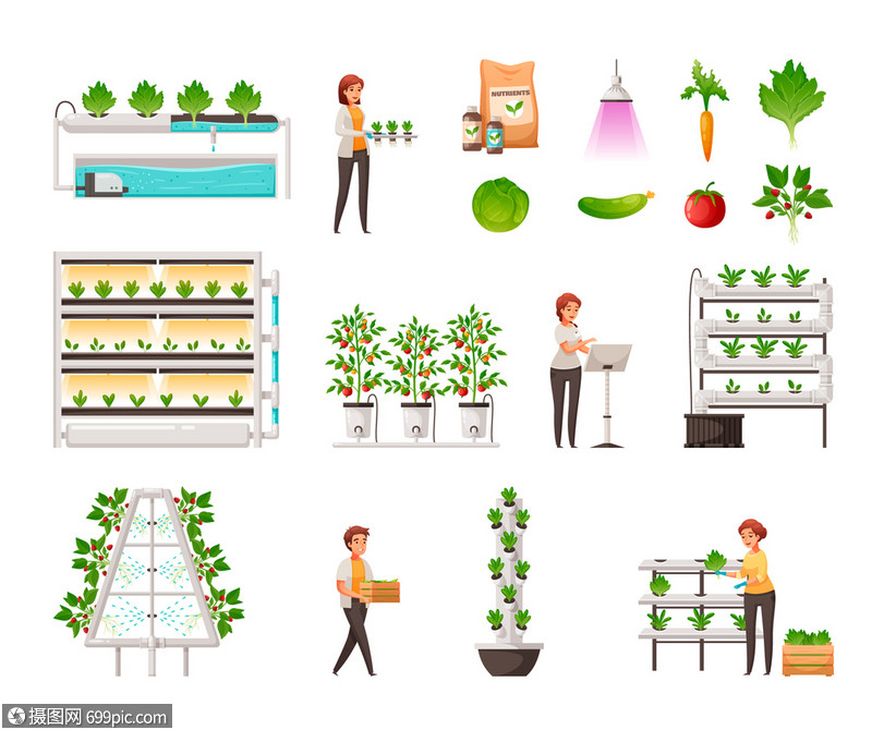 温室农业垂直水培航空符号卡通矢量插图农事垂直的
