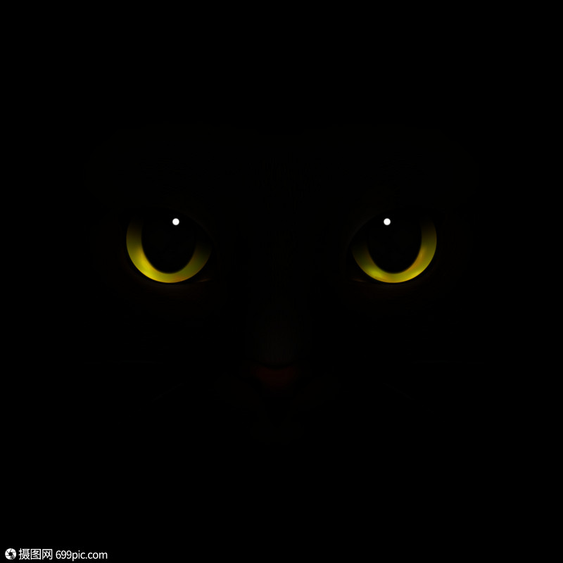 动物怪物现实的构图与猫眼鼻子,可怕的猫鼻子望着黑暗的矢量插图猫