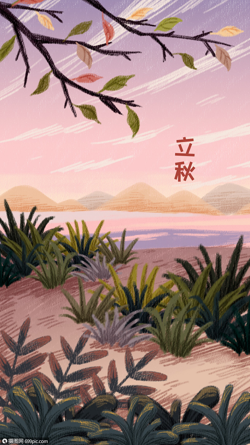 二十四节气立秋插画