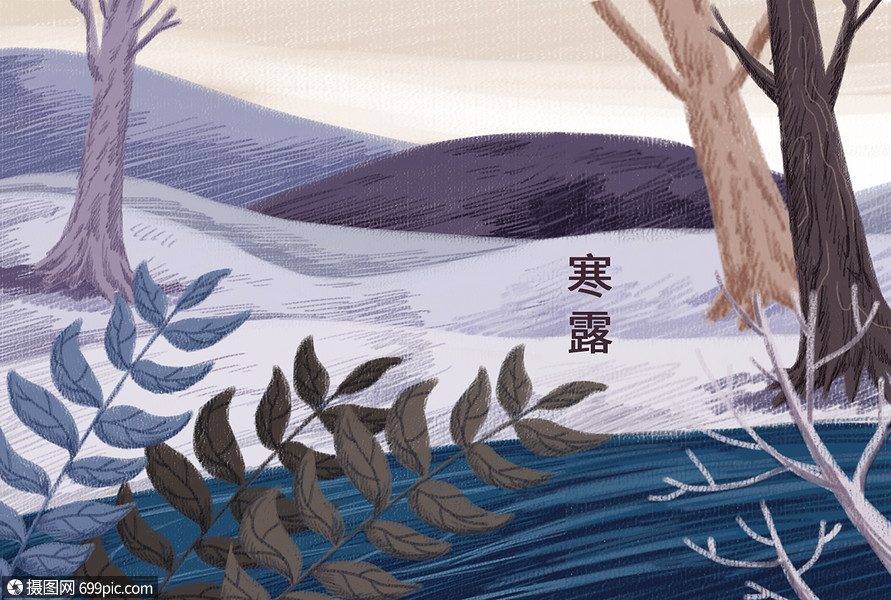 二十四节气寒露插画