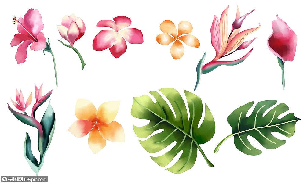 手绘花朵树叶素材