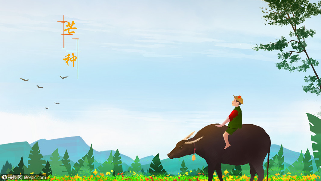 芒种海报背景高清图片素材