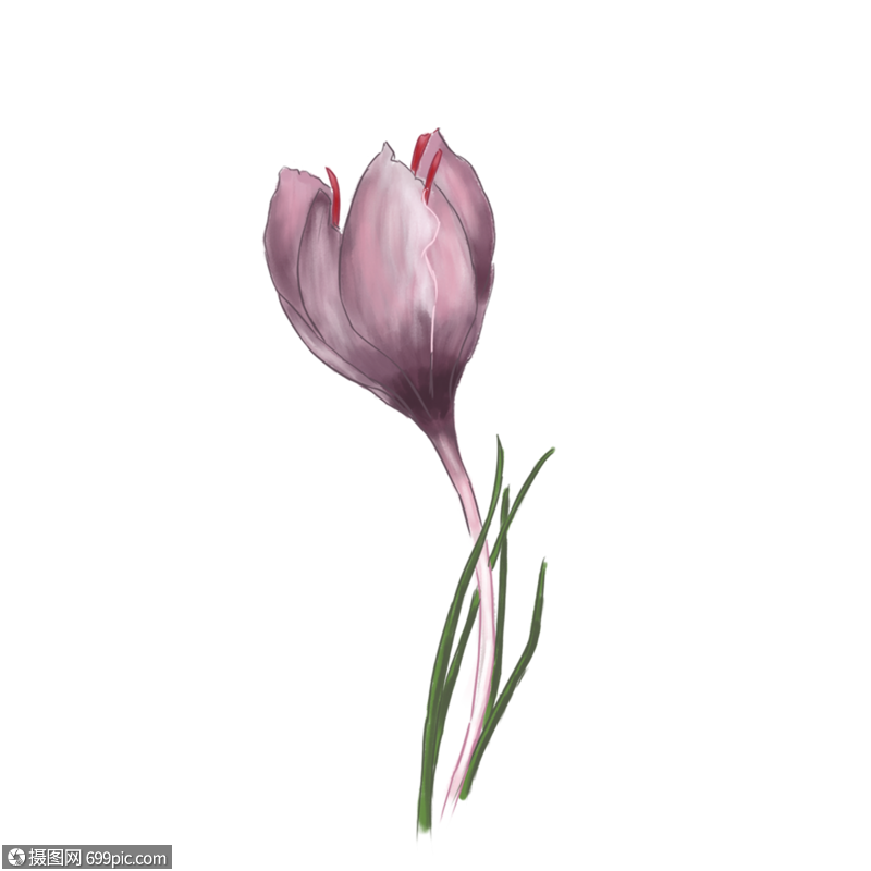 一枝花手绘素材高清图片素材