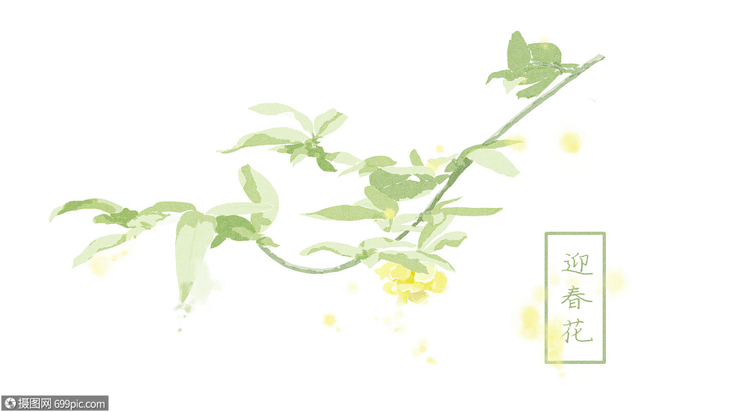 中国风手绘迎春花插画