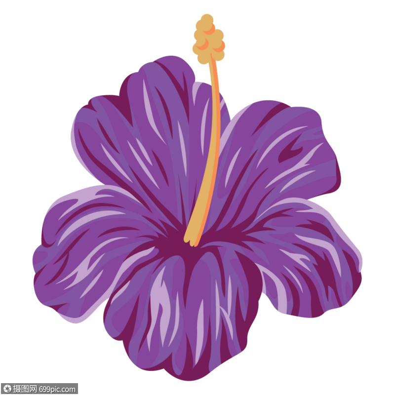 紫色的花元素插画图片