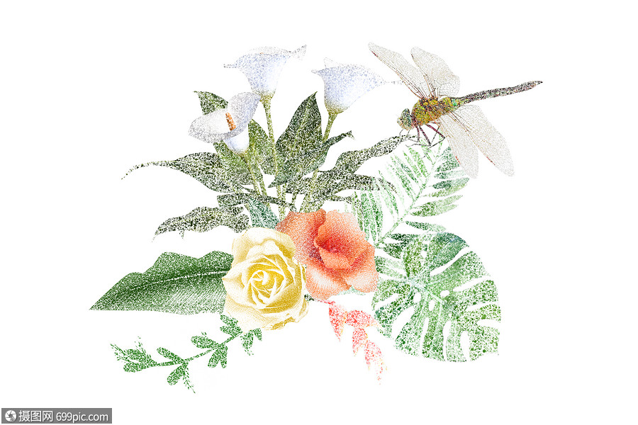 点绘创意插画植物花