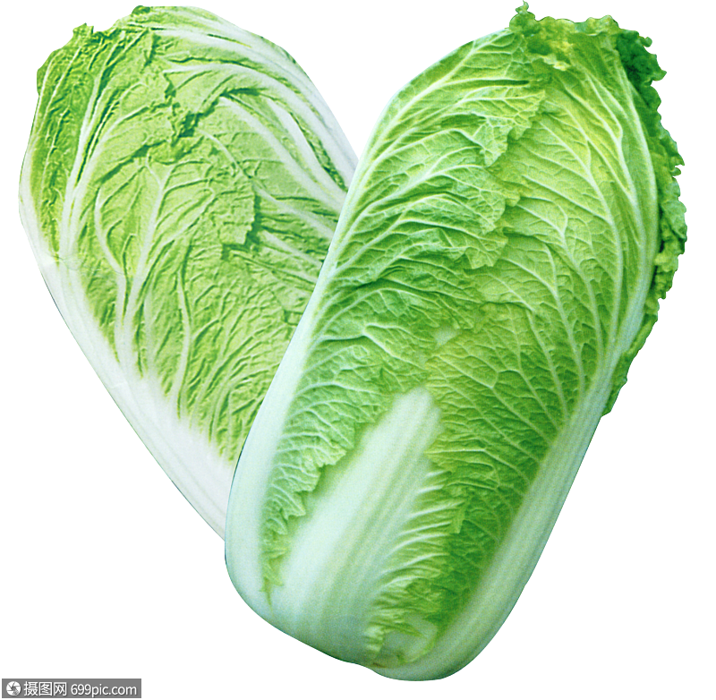 白菜摄影蔬菜高清图片素材