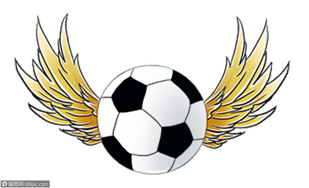 带翅膀的足球