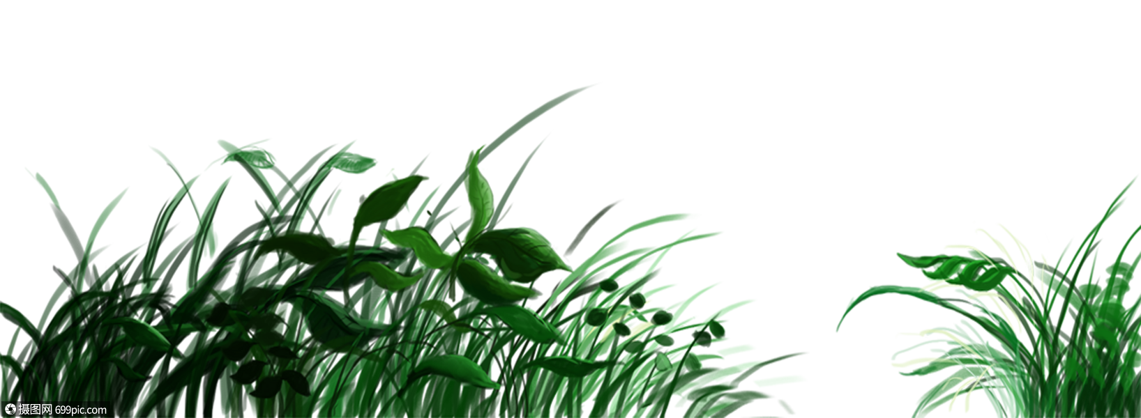 草丛插画植物高清图片素材