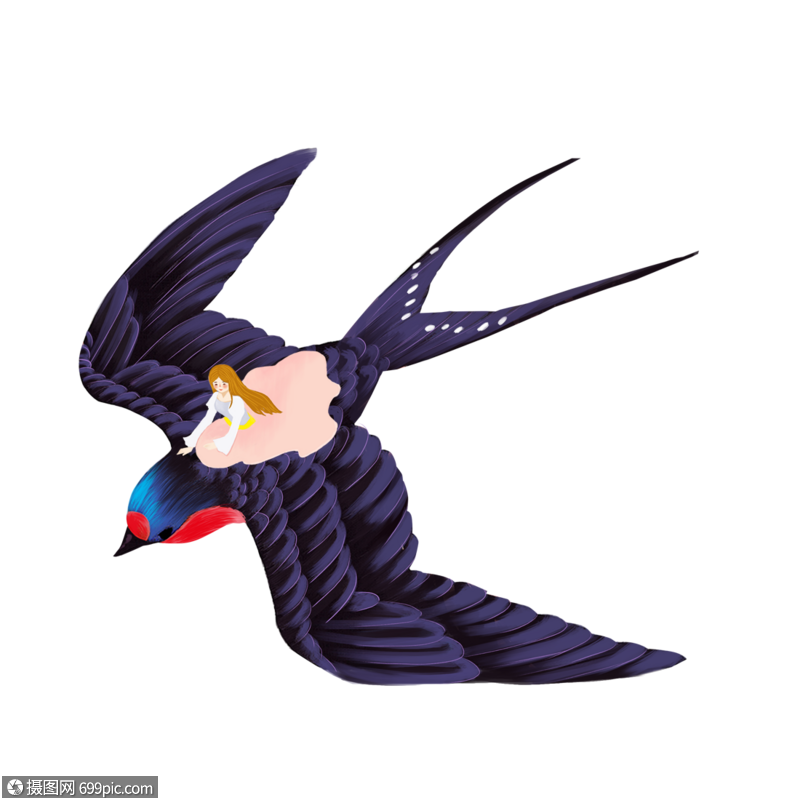燕子