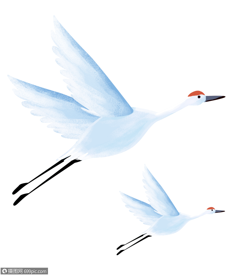 白鹭手绘卡通飞鸟图片