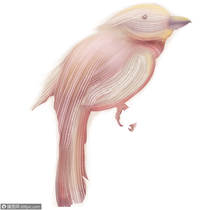 免抠元素 手绘/卡通元素 百灵鸟.png
