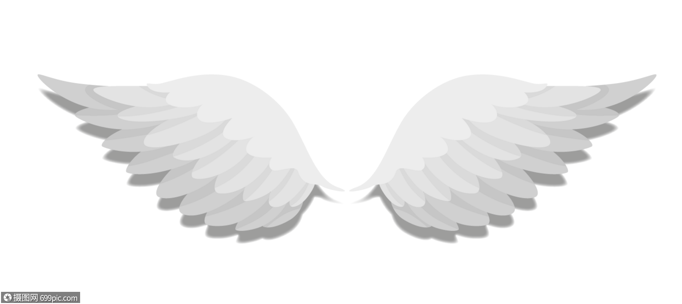 白色天使翅膀