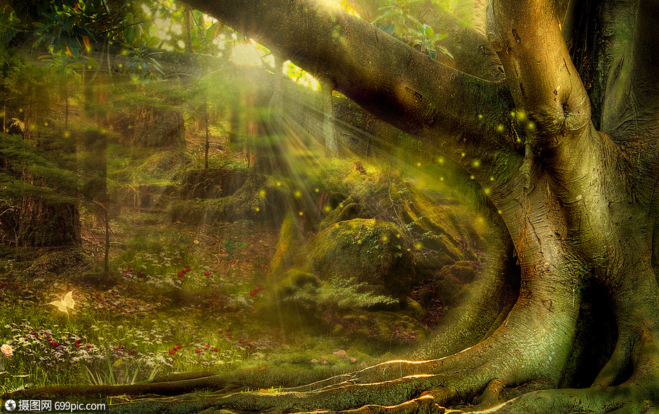 梦幻森林大森林迷幻森林