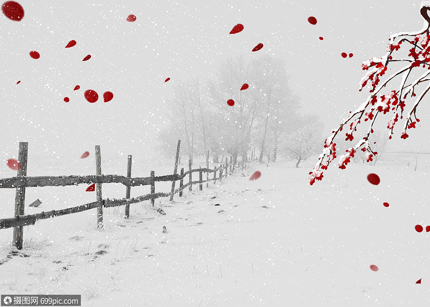 风雪天气背景篱笆唯美