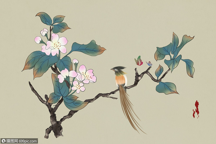 花鸟工笔花鸟中国风工笔画