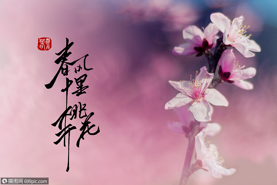 春风十里桃花开生机开花