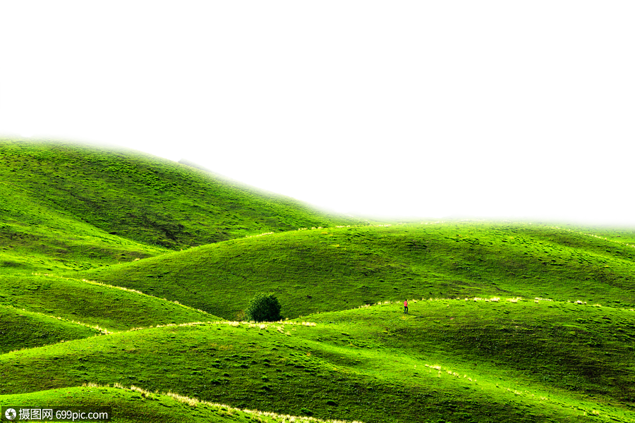 绿色延绵小山丘
